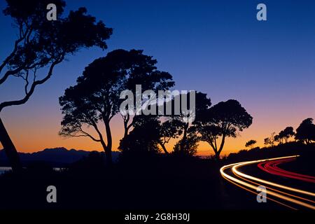 Sonnenuntergang über dem Puget Sound mit silhouettierten Magnolienbäumen mit Lichtstreifen entlang der Magnolienküste des Staates Seattle, Washington Stockfoto