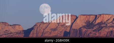 Der Vollmond, der über den dramatischen Bergen des Zion National Park aufgeht und von der untergehenden Sonne mit klarem Himmel erleuchtet wird. Stockfoto