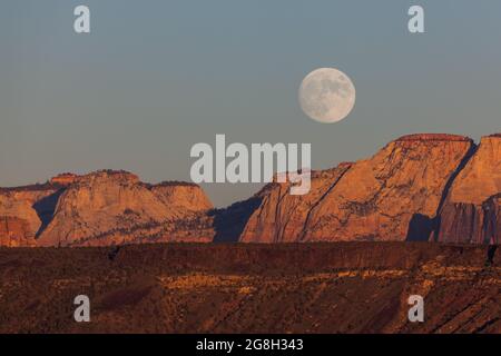 Der Vollmond, der über den dramatischen Bergen des Zion National Park aufgeht und von der untergehenden Sonne mit klarem Himmel erleuchtet wird. Stockfoto