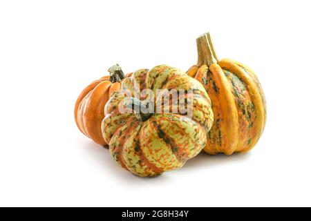 Drei verschiedene Lebensmittel-Kürbisse oder Squashes für Halloween und Thanksgiving frisch vom Markt, isoliert auf einem weißen Hintergrund mit Kopierfläche Stockfoto