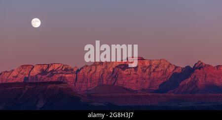 Der Vollmond, der über den dramatischen Bergen des Zion National Park aufgeht und von der untergehenden Sonne mit klarem Himmel erleuchtet wird. Stockfoto
