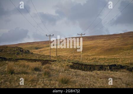 Elektrische Posten im ländlichen Schottland über den goldenen Feldern der Isle of Skye -vereinigtes Königreich. Stockfoto