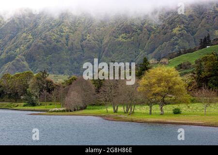 Nebliger Morgen über Lagoa Verde - einem der Zwillingsseen in der Nähe von Sete Cidades auf der Insel Sao Miguel, Azoren, Portugal Stockfoto