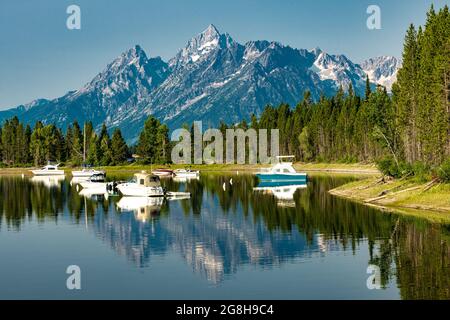 Sonnenaufgang auf den Tetons bei Coulter Bay Stockfoto