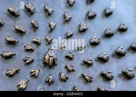 Nahaufnahme der Bienen, die auf dem bronzenen Sockel der Reiterstatue von Ferdinando I de Medici auf dem Santissima Annunziata Platz in Florenz, Stockfoto