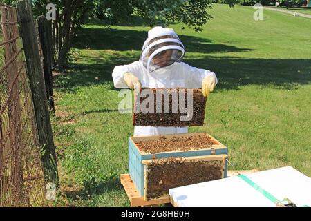 Ein Kind lernt, die Königin zu finden und Rahmen zu überprüfen Stockfoto