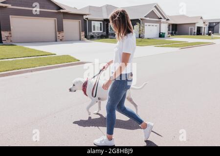 Frau geht Hund durch die Nachbarschaft an einem sonnigen Tag Stockfoto