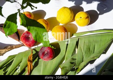 Draufsicht auf saftige Pfirsiche und Zitronen mit großen Blättern auf weißem Hintergrund Stockfoto