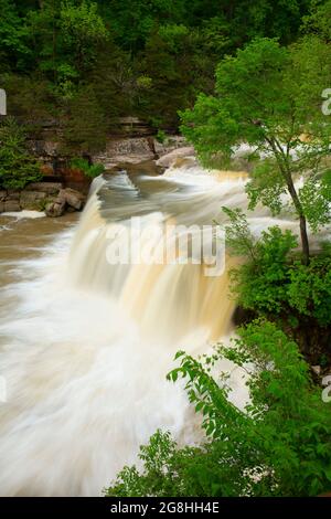 Upper Cataract Falls, Cataract Falls State Recreation Area, Indiana Stockfoto