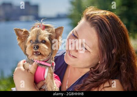 Junge glückliche Frau mit yorkshire Terrier in rosa Kleid und Kragen gehen. Stockfoto