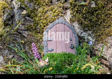 Kleine Türen und Pilze in einem Korb aus Fimo auf einem Baum wie ein Märchenhaus aus nächster Nähe. Stockfoto