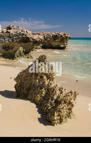 Ein Blick auf das exponierte Korallenriff an einem Sandstrand an der Osprey Bay im Cape Range National Park in Western Australia. Stockfoto