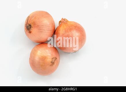 Draufsicht kleine Zwiebelgruppe, drei Zwiebeln auf weißem Hintergrund mit Haut. Stockfoto