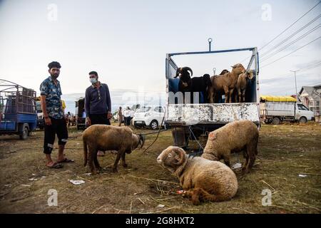 Srinagar, Indien. Juli 2021. Schafsverkäufer warten auf Kunden auf einem provisorischen Markt vor dem Heiligen Fest. Eid-ul-Adha wird am 21. Juli dieses Jahres in Indien und Pakistan beobachtet. In Saudi-Arabien wurde es heute am 20. Juli 2021 gefeiert. Es fällt in der Regel auf den zehnten Tag von Dhu al-Hijjah (der Monat der Pilgerfahrt für alle Muslime auf der ganzen Welt), der zwölften Monat des islamischen oder Mondkalenders Eid al-Adha. Kredit: SOPA Images Limited/Alamy Live Nachrichten Stockfoto