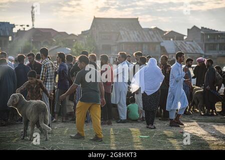 Srinagar, Indien. Juli 2021. Die Menschen sahen vor dem Heiligen Fest auf einem provisorischen Markt warten, um Schafe zu kaufen. Eid-ul-Adha wird am 21. Juli dieses Jahres in Indien und Pakistan beobachtet. In Saudi-Arabien wurde es heute am 20. Juli 2021 gefeiert. Es fällt in der Regel auf den zehnten Tag von Dhu al-Hijjah (der Monat der Pilgerfahrt für alle Muslime auf der ganzen Welt), der zwölften Monat des islamischen oder Mondkalenders Eid al-Adha. Kredit: SOPA Images Limited/Alamy Live Nachrichten Stockfoto