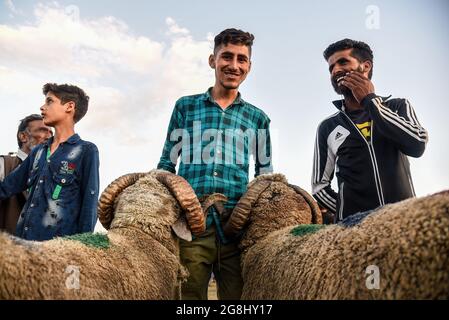 Srinagar, Indien. Juli 2021. Ein Schafsverkäufer reagiert, als er vor dem Heiligen Fest auf Kunden auf einem provisorischen Markt wartet. Eid-ul-Adha wird am 21. Juli dieses Jahres in Indien und Pakistan beobachtet. In Saudi-Arabien wurde es heute am 20. Juli 2021 gefeiert. Es fällt in der Regel auf den zehnten Tag von Dhu al-Hijjah (der Monat der Pilgerfahrt für alle Muslime auf der ganzen Welt), der zwölften Monat des islamischen oder Mondkalenders Eid al-Adha. Kredit: SOPA Images Limited/Alamy Live Nachrichten Stockfoto