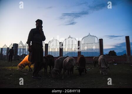 Srinagar, Indien. Juli 2021. Eine Silhouette eines Schafsverkäufers, als er auf einem provisorischen Markt vor dem Heiligen Fest auf Kunden wartet. Eid-ul-Adha wird am 21. Juli dieses Jahres in Indien und Pakistan beobachtet. In Saudi-Arabien wurde es heute am 20. Juli 2021 gefeiert. Es fällt in der Regel auf den zehnten Tag von Dhu al-Hijjah (der Monat der Pilgerfahrt für alle Muslime auf der ganzen Welt), der zwölften Monat des islamischen oder Mondkalenders Eid al-Adha. Kredit: SOPA Images Limited/Alamy Live Nachrichten Stockfoto