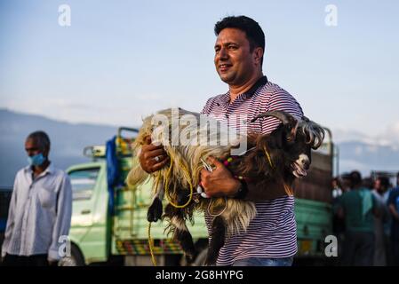 Srinagar, Indien. Juli 2021. Ein Mann sah, wie er vor dem Heiligen Fest auf einem provisorischen Markt ein Schaf trug. Eid-ul-Adha wird am 21. Juli dieses Jahres in Indien und Pakistan beobachtet. In Saudi-Arabien wurde es heute am 20. Juli 2021 gefeiert. Es fällt in der Regel auf den zehnten Tag von Dhu al-Hijjah (der Monat der Pilgerfahrt für alle Muslime auf der ganzen Welt), der zwölften Monat des islamischen oder Mondkalenders Eid al-Adha. (Foto von Idrees Abbas/SOPA Images/Sipa USA) Quelle: SIPA USA/Alamy Live News Stockfoto