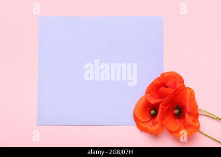 Schöne rote Mohnblumen und Papier Blatt auf farbigem Hintergrund Stockfoto