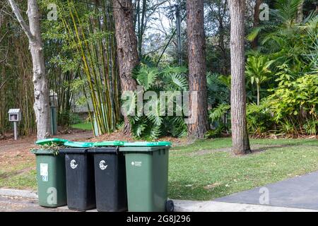 Müllcontainer für grüne Vegetation in einer Straße in Sydney, die auf die Abholung durch den australischen Müllwagen durch den rat warten Stockfoto