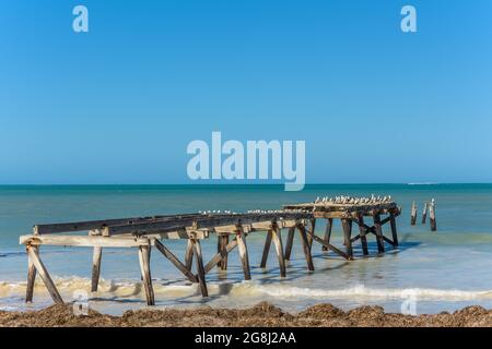 Der verlassene Steg am Strandkopf der Old Eucla Telegrafy Station entlang der Nullarbor-Küste von Western Australia. Stockfoto