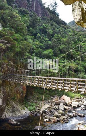 Hängebrücke, die zwei Klippen über einen flachen Fluss mit vielen Felsbrocken verbindet, die sich in das Tal mit dem einheimischen Busch öffnen. Stockfoto