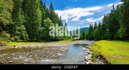 Sommerlandschaft mit Bergfluss. Wasser fließt durch das Tal zwischen grasbewachsenen Ufer mit Steinen und Fichtenwald. Sonniges Wetter mit Wolken auf den s Stockfoto