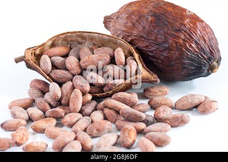 Kakaofrüchte und Samen auf Weiß Stockfoto