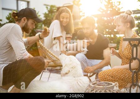 Freunde mit Hund und Getränke im Hinterhof Stockfoto