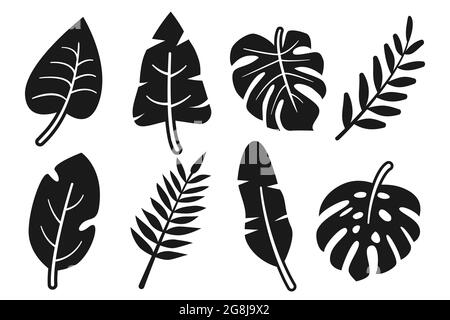 Tropische Blätter abstrakte schwarze Glyphe flach auf weißem Hintergrund gesetzt. Monstera verschiedener Arten, Banane, andere Dschungelpflanzen. Kollektion für Design. Einrichtungselemente. Vektorgrafik Stock Vektor