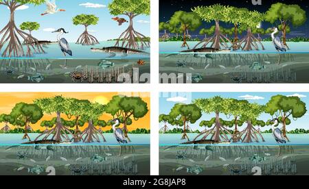 Verschiedene Mangrovenwaldlandschaftsszenen mit Tierdarstellung Stock Vektor