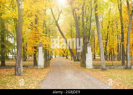 Fußgängerstraße im Herbstpark. Herbstlandschaft. Herbstpark namens Kadriorg in Tallinn, Estland. Stockfoto