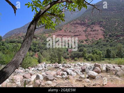 Berberdörfer im wunderschönen Ourika-Tal, High Atlas MA Stockfoto