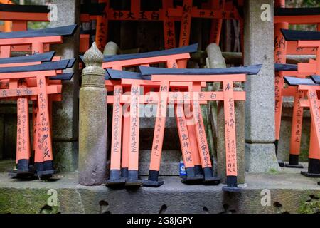 Gates, genannt 'torii', auf dem Gebiet von Fushimi Inari in Kyoto, Japan Stockfoto