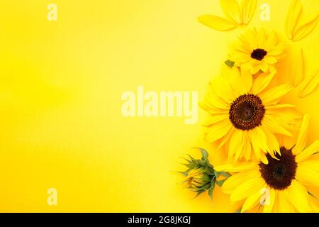 Gelber Papierhintergrund mit Sonnenblumen. Speicherplatz kopieren. Draufsicht Stockfoto