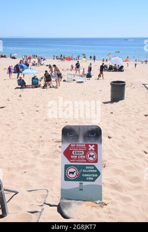 Hunde sind auf Teilen von South Beach, Tenby, Pembrokeshire, South Wales im Juli 2021 nicht erlaubt Stockfoto