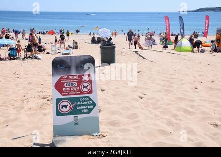 Hunde sind auf Teilen von South Beach, Tenby, Pembrokeshire, South Wales im Juli 2021 nicht erlaubt Stockfoto