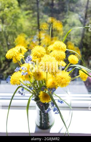 Schönes Bouquet von gelben Dandelionen in einer Tonvase, die auf dem Fensterbrett bei offenem Fenster in der Landschaft steht, aus der Nähe Stockfoto
