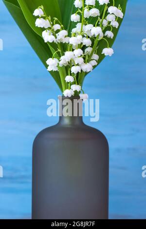 Blauer Hintergrund mit weißen zarten Maiglöckchen Blumen für den Muttertag vertikale Grußkarte. Stockfoto