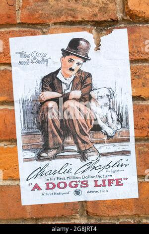 Altes Filmplakat, das für DAS LEBEN eines Hundes wirbt ein Film mit Charlie Chaplin Stockfoto