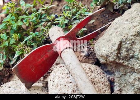 Doppel- oder Doppelhandhacke mit Holzgriff für die Gartenarbeit im Garten Stockfoto