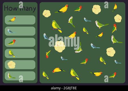 Kids mathematische Mini-Spiel - zählen, wie viele Papageien und tropische Blumen - australian King, Wellensittiche, neophema, Hibiskus. Pädagogische Spiele für Kinder. Cartoon Design Vorlage auf bunten Hintergrund. Stock Vektor