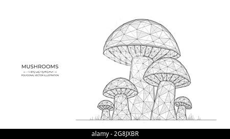 Polygonale Vektordarstellung von Pilzen auf weißem Hintergrund. Pilzfamilie low poly Art. Stock Vektor