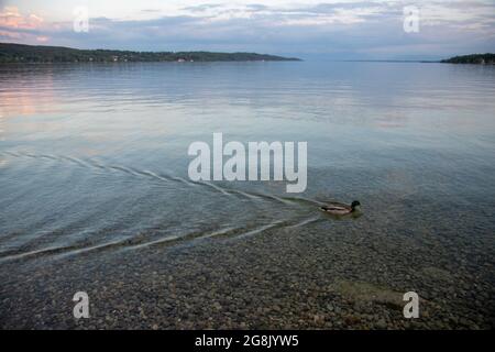 Starnberg, Deutschland. Mai 2020. Blick auf den Starnberger See am Abend. Sonnenschein und Sonnenuntergang in Starnberg am Starnberger See am 19. Mai 2020. (Foto: Alexander Pohl/Sipa USA) Quelle: SIPA USA/Alamy Live News Stockfoto