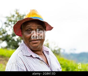 Porträt eines lächelnden afroamerikanischen Bauern Stockfoto
