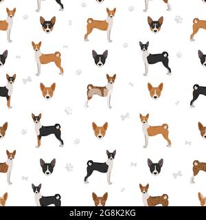 Basenji alle Farben nahtloses Muster. Verschiedene Fellfarben und Posen eingestellt. Vektorgrafik Stock Vektor