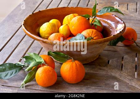 Frische Orangen und Zitronen mit grünen Blättern in einer rustikalen Schüssel auf einem Holztisch, Mallorca oder Mallorca. Stockfoto