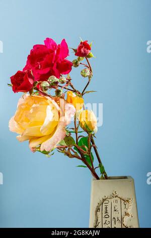 Foto eines Straußes aus natürlichen Blüten von roten und gelben Rosen in einer braunen Vase auf blauem Hintergrund.das Foto wurde in einem Studio mit Künstlergarizien aufgenommen Stockfoto