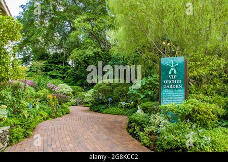 Die Yuen Peng McNeice Bromeliad Collection ist Teil des Tropical Montane Orchidetums im National Orchid Garden im Botanischen Garten. Stockfoto