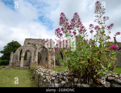 Die Ruinen der Abtei von Creake in der Nähe des Dorfes North Creake im ländlichen Norden Norfolks, East Anglia. Wilde Baldrian-Blumen im Vordergrund. Stockfoto